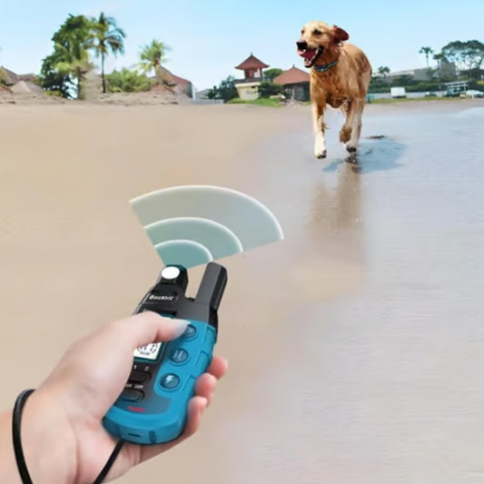 Rechargeable Waterproof Dog Training Collar with Remote