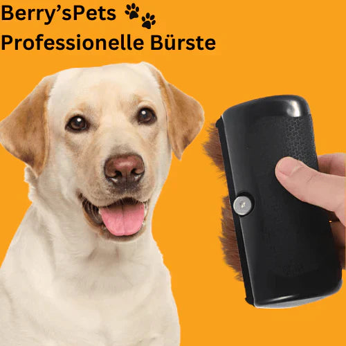 🔥2025 NEW SALES - 50% OFF🔥Pet Professional brush🐶🐱💥