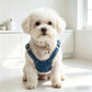 Puppy Denim Pants Set