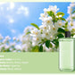 🔥Automatic Aromatherapy Diffuser（50% OFF）