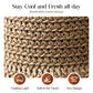 🔥 Hot sale 50% OFF🔥Elegant Woven Straw Sun Hat with Bow