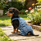 Puppy Denim Pants Set