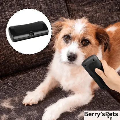 🔥2025 NEW SALES - 50% OFF🔥Pet Professional brush🐶🐱💥