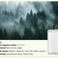 🔥Automatic Aromatherapy Diffuser（50% OFF）