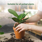 💥 Slow-Release Organic Fertilizer In Stick Form For Indoor Plants