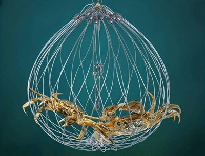 🦀Automatic Opening & Closing Fishing Net Cage