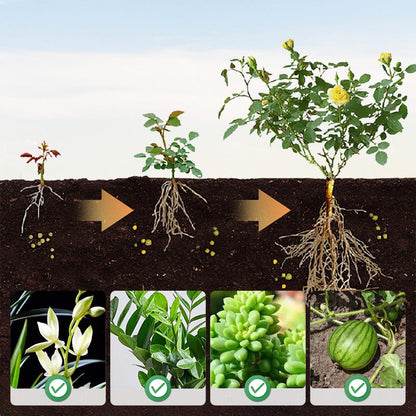 🌱Hot Sale 49% OFF⏳Universal Plants Nutrient Granules Controlled Release Fertilizer