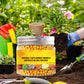 🌱Hot Sale 49% OFF⏳Universal Plants Nutrient Granules Controlled Release Fertilizer