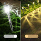 Solar-Powered LED Garden Lights