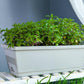 🌼Hot Sale🌼Rectangular Lazy Plastic Flower Pot, Suitable For Home Balcony