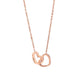 Eternal Rose Box - W/Engraved Necklace & Artificial Rose