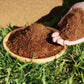 💥LIMIT TIME Buy 1 Get 1 Free💥🌱Natural coco coir floor tiles