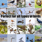 Retractable Professional Bird Leg Trap