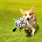 🐕⚽Dog Soccer Toy