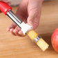 Stainless Steel Fruit Corer & Peeler 2 in 1