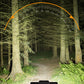 🚴50% OFF!✨Bicycle Headlight – 8 LED, Built‑in Horn, USB Rechargeable, Wired Remote Control 🔦