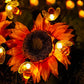 Cute Bee Solar Lights