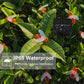 Cute Bee Solar Lights