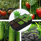 ⏳Limited-time 40% off⏰Divided Fabric Grow Bags for Plants🌱