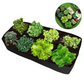 ⏳Limited-time 40% off⏰Divided Fabric Grow Bags for Plants🌱