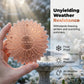 🐦 LIMITED-TIME 50% OFF! 💥 Pure Copper Bird Bath Purification Disk – 99.9% Copper, Crystal Clear Water, Sunflower Design ✨