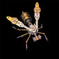 3D Metal Bee Puzzle Assembly Model Kit