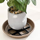 📢📢50% OFF !! ⏰Root-Saving Pot Riser – elevates planters, promotes airflow, keeps floors clean – for indoor & outdoor use. 🔥🏠