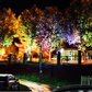 IP65 Waterproof Outdoor Ring Tree Light