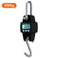 500kg(1100 lb) Digital Hanging Scale