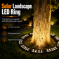 360° Solar Tree Uplight