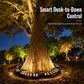 360° Solar Tree Uplight