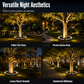 360° Solar Tree Uplight