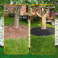 🌿 50% OFF NOW! 🏡 No-Dig Landscape Edging – 10M Roll, Weather-Resistant & 30 Spikes – Clean, Clear Lawn Borders 🛡️