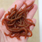 ⏳Time-Limited Special⏰Simulation Earthworm Soft Fishing Lures – Scented, Lifelike, Durable 🌊