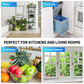 (1 Device + 5 Refills)Fruit Fly Traps for Indoors,Gnat Traps for House Indoor Plug-in Light for Flies